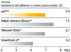 seT PP cemento dental Circonia